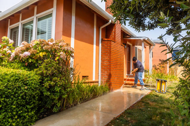 Best Affordable Power Washing  in Ingram, PA